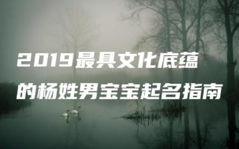 2019最具文化底蕴的杨姓男宝宝起名指南