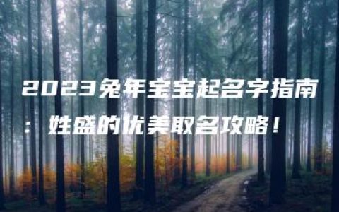 2023兔年宝宝起名字指南：姓盛的优美取名攻略！