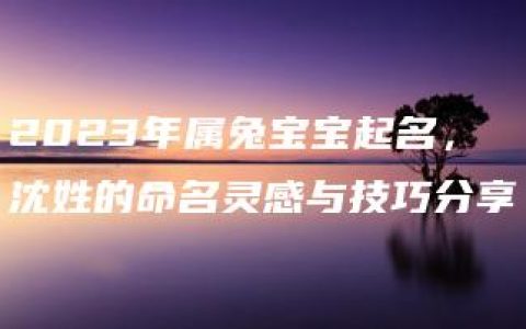 2023年属兔宝宝起名，沈姓的命名灵感与技巧分享