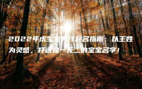 2022年虎宝宝男孩起名指南：以王姓为灵感，打造独一无二的宝宝名字！