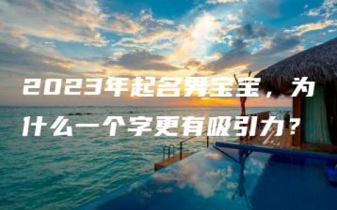 2023年起名男宝宝，为什么一个字更有吸引力？