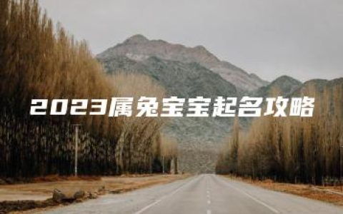 2023属兔宝宝起名攻略