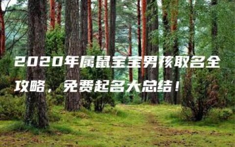 2020年属鼠宝宝男孩取名全攻略，免费起名大总结！