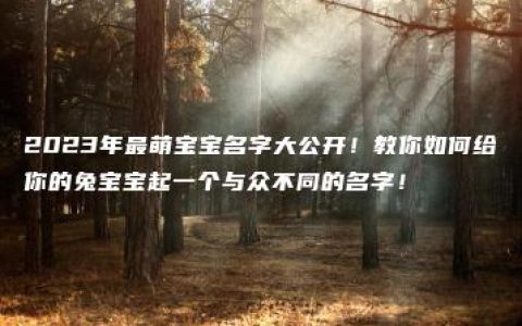 2023年最萌宝宝名字大公开！教你如何给你的兔宝宝起一个与众不同的名字！