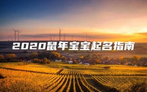 2020鼠年宝宝起名指南