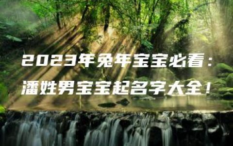 2023年兔年宝宝必看：潘姓男宝宝起名字大全！