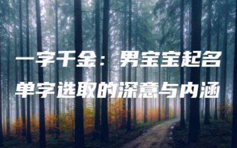 一字千金：男宝宝起名单字选取的深意与内涵