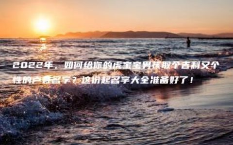 2022年，如何给你的虎宝宝男孩取个吉利又个性的卢姓名字？这份起名字大全准备好了！