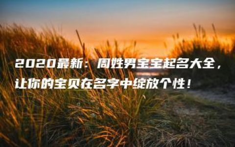 2020最新：周姓男宝宝起名大全，让你的宝贝在名字中绽放个性！