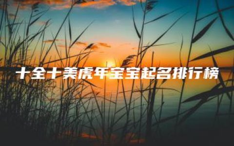 十全十美虎年宝宝起名排行榜