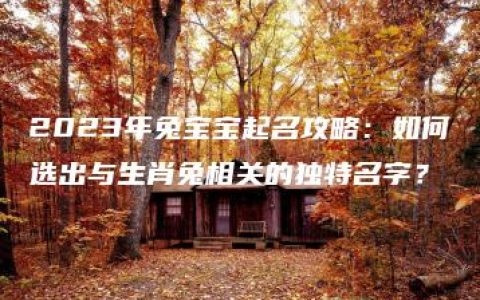 2023年兔宝宝起名攻略：如何选出与生肖兔相关的独特名字？