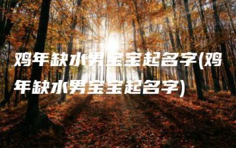 鸡年缺水男宝宝起名字(鸡年缺水男宝宝起名字)