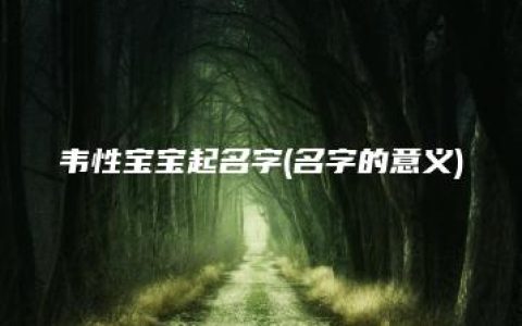 韦性宝宝起名字(名字的意义)