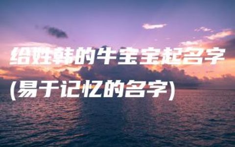 给姓韩的牛宝宝起名字(易于记忆的名字)