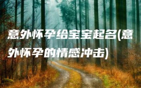 意外怀孕给宝宝起名(意外怀孕的情感冲击)