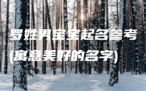 罗姓男宝宝起名参考(寓意美好的名字)