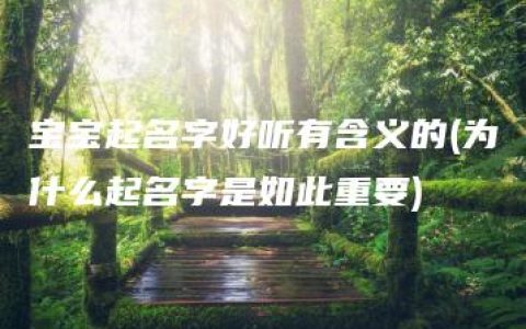 宝宝起名字好听有含义的(为什么起名字是如此重要)