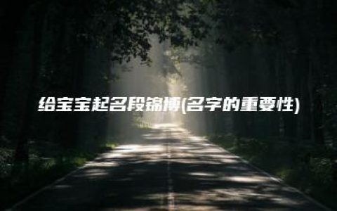 给宝宝起名段锦博(名字的重要性)