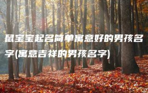 鼠宝宝起名简单寓意好的男孩名字(寓意吉祥的男孩名字)