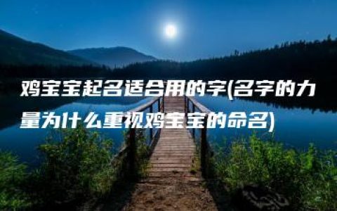 鸡宝宝起名适合用的字(名字的力量为什么重视鸡宝宝的命名)