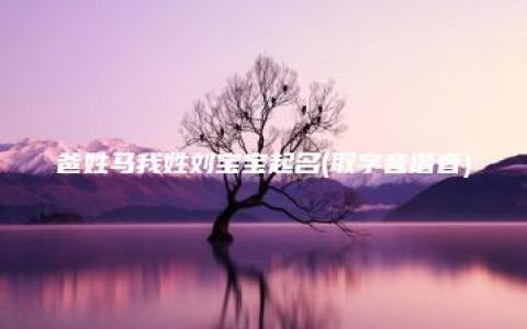 爸姓马我姓刘宝宝起名(取字音谐音)