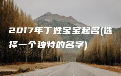 2017年丁姓宝宝起名(选择一个独特的名字)