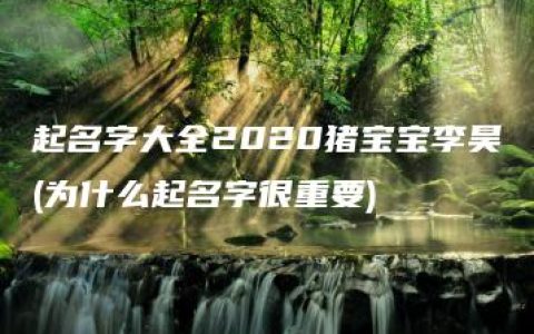 起名字大全2020猪宝宝李昊(为什么起名字很重要)