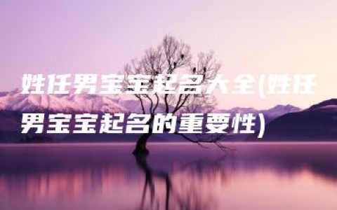 姓任男宝宝起名大全(姓任男宝宝起名的重要性)