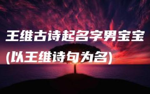 王维古诗起名字男宝宝(以王维诗句为名)