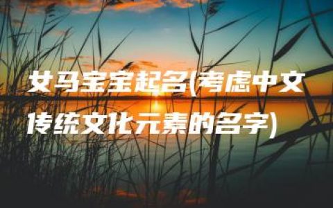 女马宝宝起名(考虑中文传统文化元素的名字)