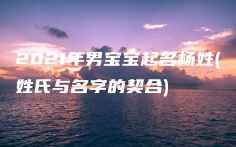 2021年男宝宝起名杨姓(姓氏与名字的契合)