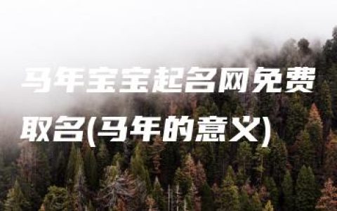 马年宝宝起名网免费取名(马年的意义)