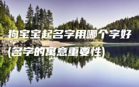 狗宝宝起名字用哪个字好(名字的寓意重要性)