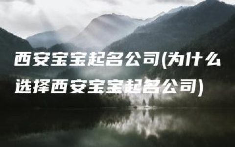 西安宝宝起名公司(为什么选择西安宝宝起名公司)