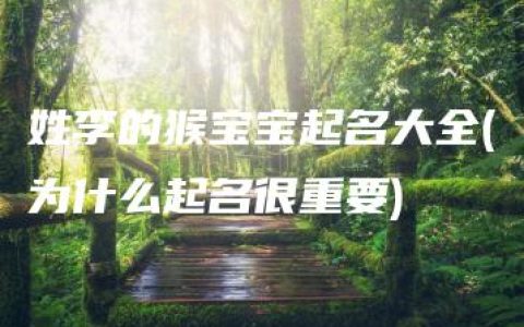 姓李的猴宝宝起名大全(为什么起名很重要)