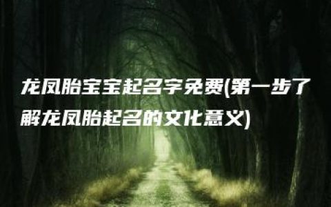 龙凤胎宝宝起名字免费(第一步了解龙凤胎起名的文化意义)