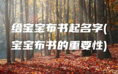 给宝宝布书起名字(宝宝布书的重要性)