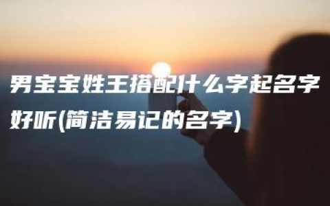 男宝宝姓王搭配什么字起名字好听(简洁易记的名字)