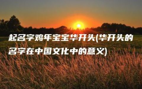 起名字鸡年宝宝华开头(华开头的名字在中国文化中的意义)