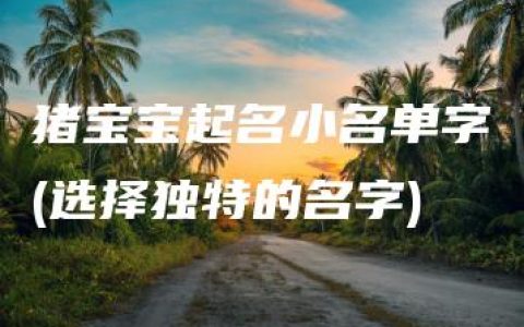 猪宝宝起名小名单字(选择独特的名字)