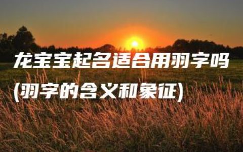 龙宝宝起名适合用羽字吗(羽字的含义和象征)