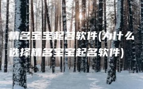 精名宝宝起名软件(为什么选择精名宝宝起名软件)