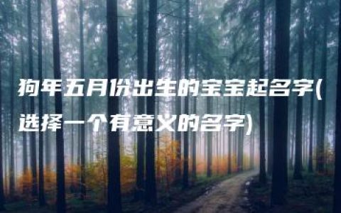 狗年五月份出生的宝宝起名字(选择一个有意义的名字)