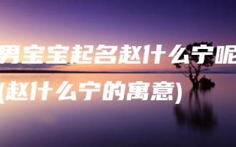 男宝宝起名赵什么宁呢(赵什么宁的寓意)