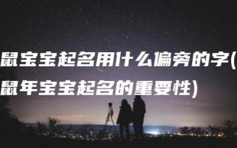 鼠宝宝起名用什么偏旁的字(鼠年宝宝起名的重要性)