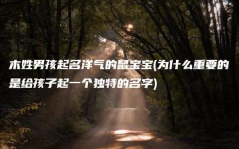 木姓男孩起名洋气的鼠宝宝(为什么重要的是给孩子起一个独特的名字)