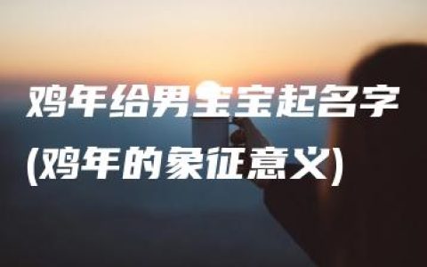 鸡年给男宝宝起名字(鸡年的象征意义)