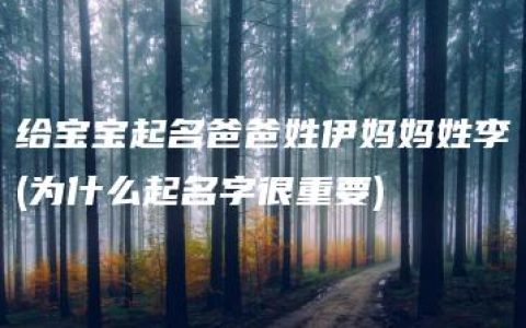 给宝宝起名爸爸姓伊妈妈姓李(为什么起名字很重要)