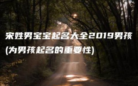 宋姓男宝宝起名大全2019男孩(为男孩起名的重要性)