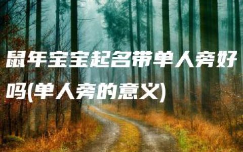 鼠年宝宝起名带单人旁好吗(单人旁的意义)